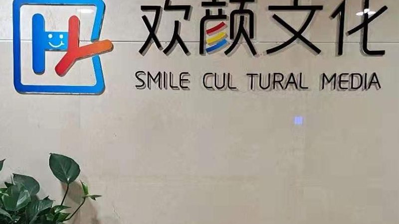 宣传片脚本与分镜脚本的差异解析