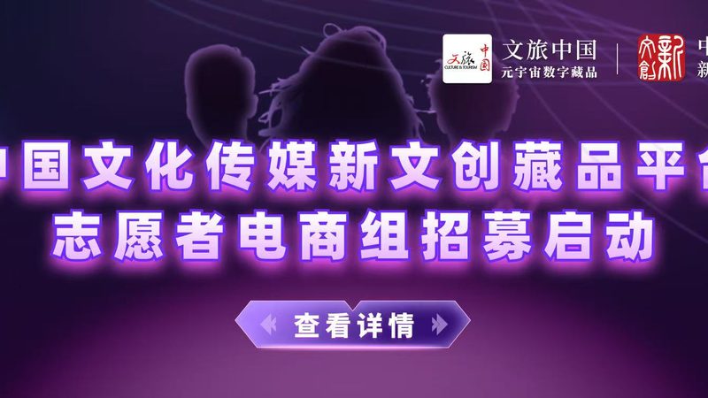 新媒体媒介投放报价解析：揭秘背后的因素与考量